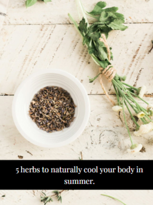 5 hers to naturally cool your body in summer.